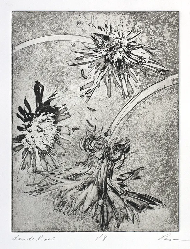 Dandelions
