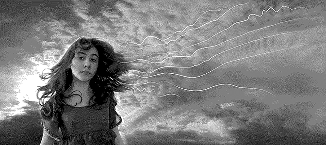 Riley in the Wind